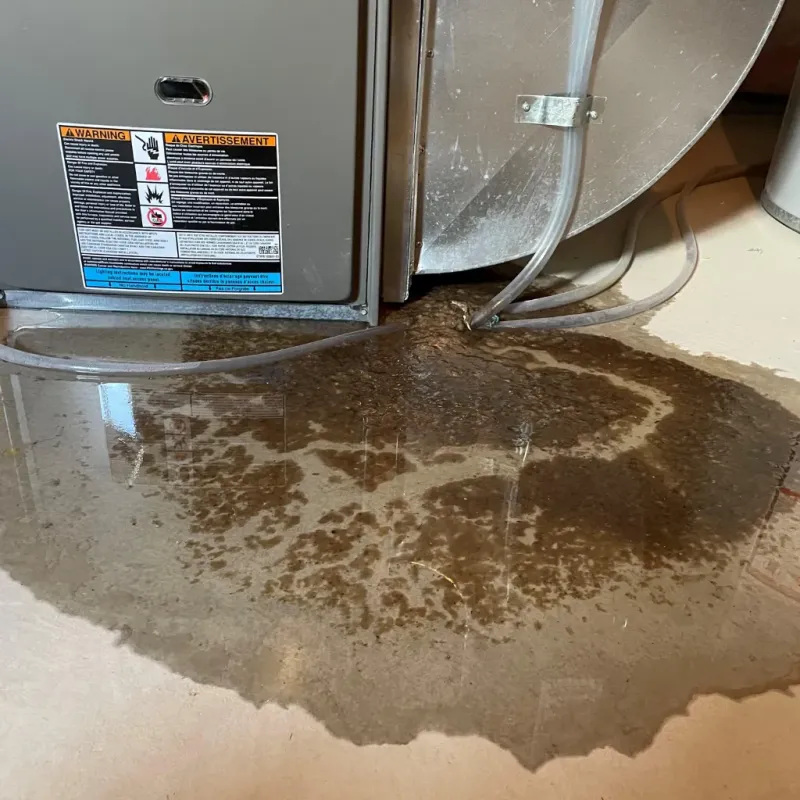 Appliance Leak Cleanup in East Cleveland, OH